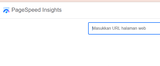 Google Mobile-Friendly Test & PageSpeed Insights